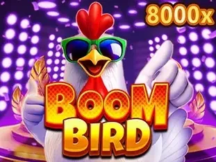 Boom Bird screenshot